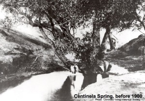 Taking stock:  the Centinela Springs before 1900.  Today you'd have to dig down a few hundred (?) feet to find water.