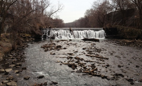View upstream at River Park - of Bronx River dam/spillway at the edge of the Bronx Zoo